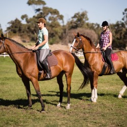 exond_horseback_riding001