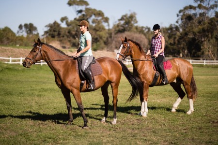 exond_horseback_riding001