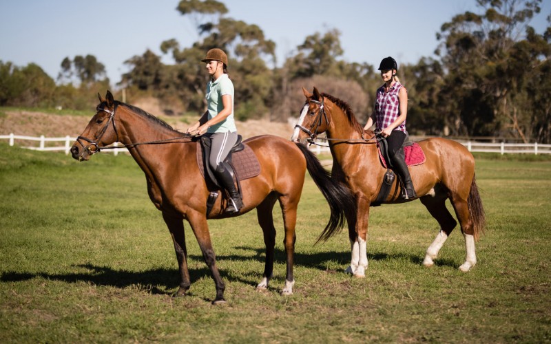 exond_horseback_riding001